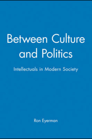 Cover of Between Culture and Politics