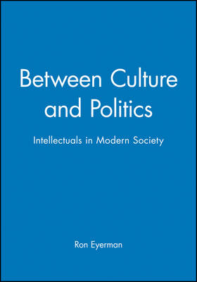 Book cover for Between Culture and Politics