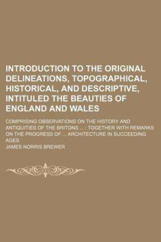 Cover of Introduction to the Original Delineations, Topographical, Historical, and Descriptive, Intituled the Beauties of England and Wales; Comprising Observations on the History and Antiquities of the Britons Together with Remarks on the Progress of Architect