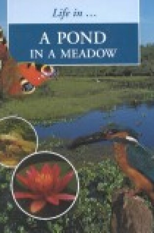 Cover of A Pond in the Meadow