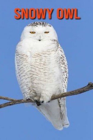 Cover of Snowy owl