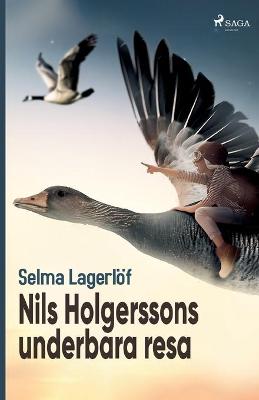 Book cover for Nils Holgerssons underbara resa