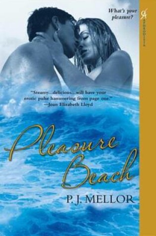Cover of Pleasure Beach