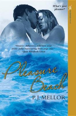 Book cover for Pleasure Beach