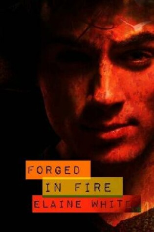 Cover of Forged in Fire