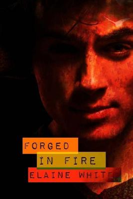 Book cover for Forged in Fire