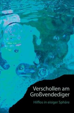 Cover of Verschollen am Großvenediger