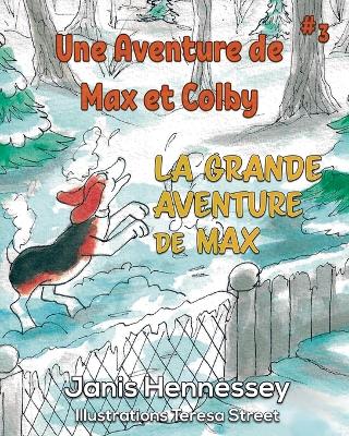 Book cover for La Grande Aventure de Max