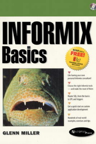 Cover of Informix Basics