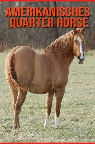 Cover of Amerikanisches Quarter Horse