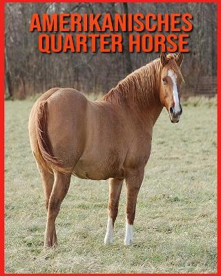 Book cover for Amerikanisches Quarter Horse