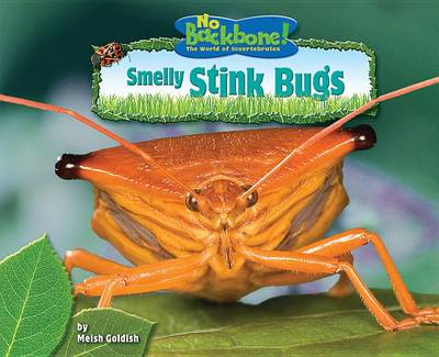 Book cover for Smelly Stink Bugs