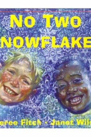 Cover of No 2 Snowflakes