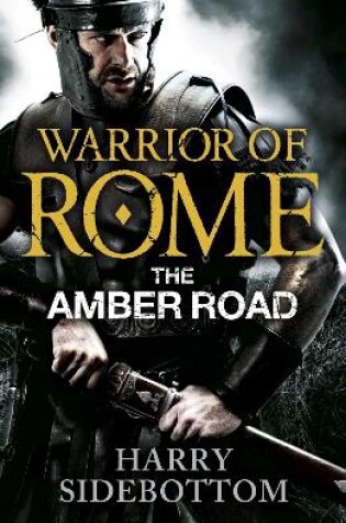 Cover of Warrior of Rome VI: The Amber Road