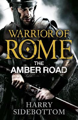 Book cover for Warrior of Rome VI: The Amber Road