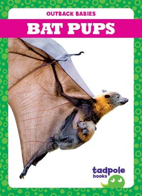 Book cover for Bat Pups
