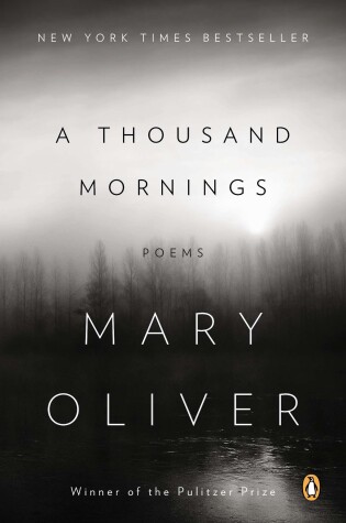 Cover of A Thousand Mornings