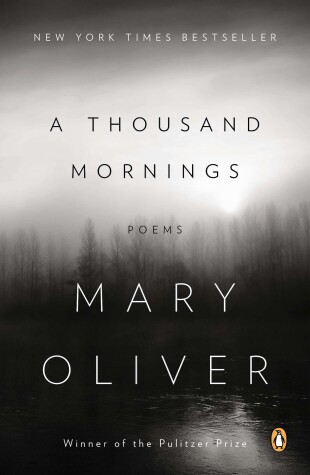 Book cover for A Thousand Mornings