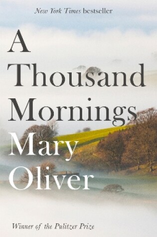 Cover of A Thousand Mornings
