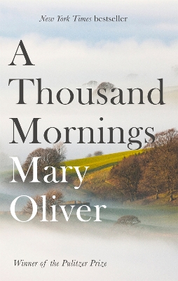 Book cover for A Thousand Mornings