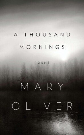 Book cover for A Thousand Mornings