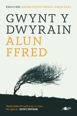 Book cover for Gwynt y Dwyrain