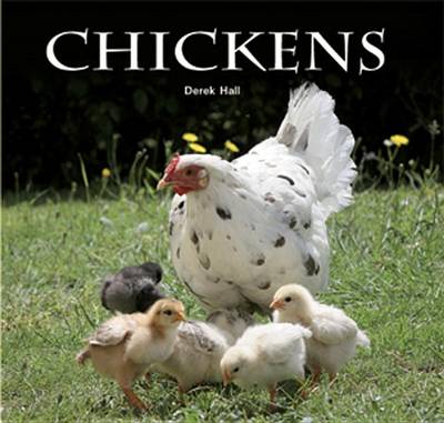 Book cover for Chickens