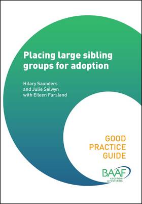 Book cover for Placing Large Sibling Groups for Adoption