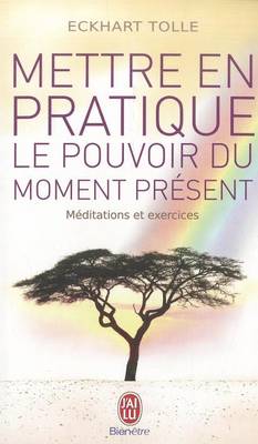 Cover of Mettre En Pratique Le Pouvoir Du Moment