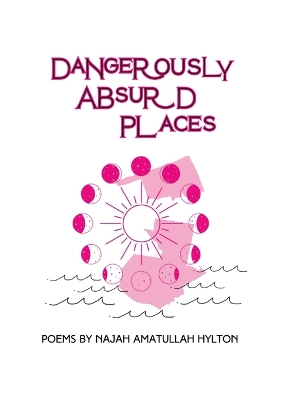 Book cover for Dangerously Absurd Places