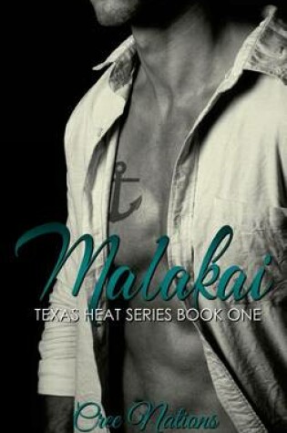 Cover of Texas Heat a Stone Brothers Series