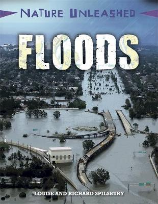 Book cover for Nature Unleashed: Floods