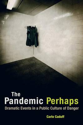 Book cover for The Pandemic Perhaps