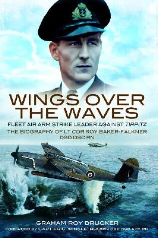 Cover of Wings Over the Waves