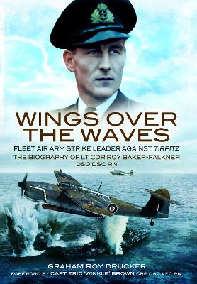 Cover of Wings Over the Waves