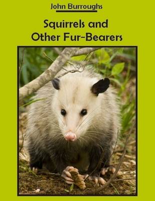 Book cover for Squirrels and Other Fur-Bearers (Illustrated)