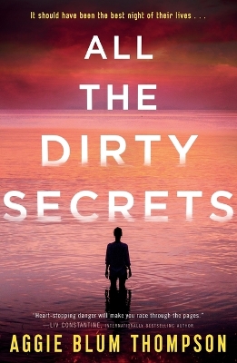 Book cover for All the Dirty Secrets