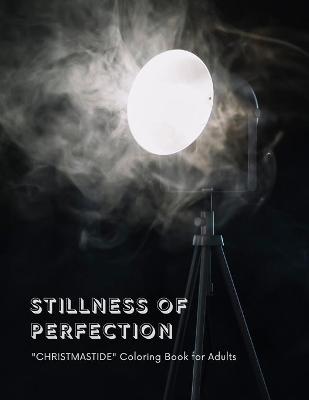 Book cover for Stillness of Perfection