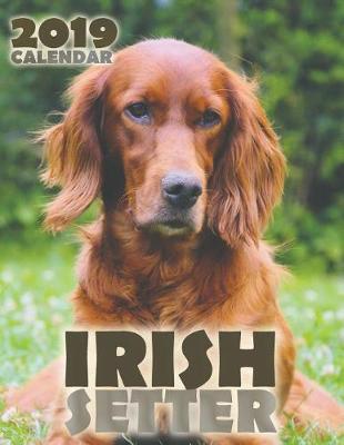 Book cover for Irish Setter 2019 Calendar