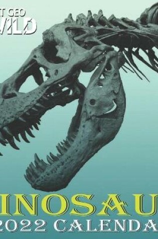 Cover of Dinosaur Calendar 2022