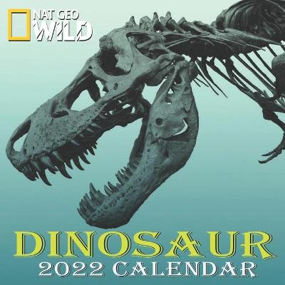Book cover for Dinosaur Calendar 2022