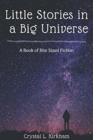 Cover of Little Stories in a Big Universe
