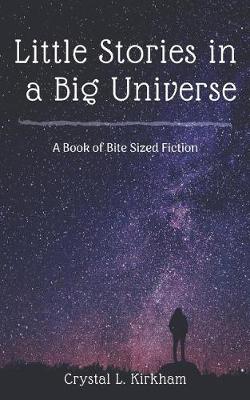 Book cover for Little Stories in a Big Universe