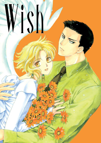 Book cover for Wish