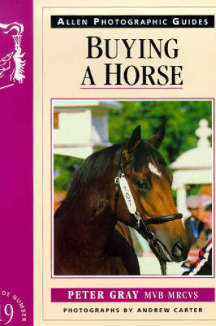 Cover of Buying a Horse