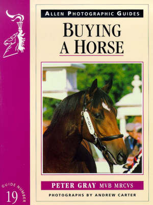 Cover of Buying a Horse