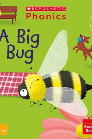Cover of A Big Bug (Set 3)