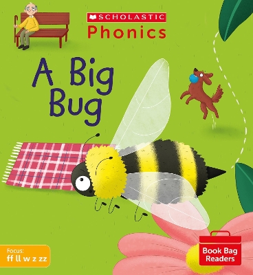 Cover of A Big Bug (Set 3)