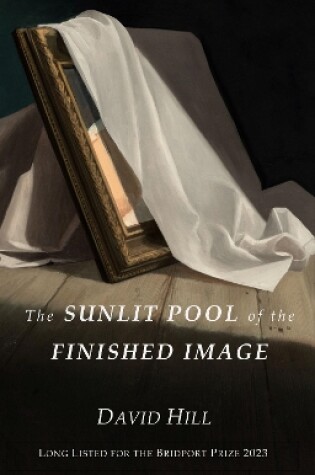 Cover of The Sunlit Pool of the Finished Image