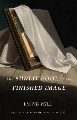 Book cover for The Sunlit Pool of the Finished Image